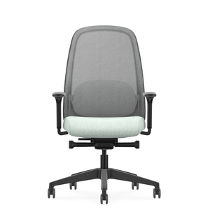 Interstuhl Hej Active PLUS Edition #02 Schwarz | Mint (HJ 266)