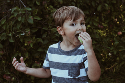 Healthy eating in the home office? You can find out how it works here!